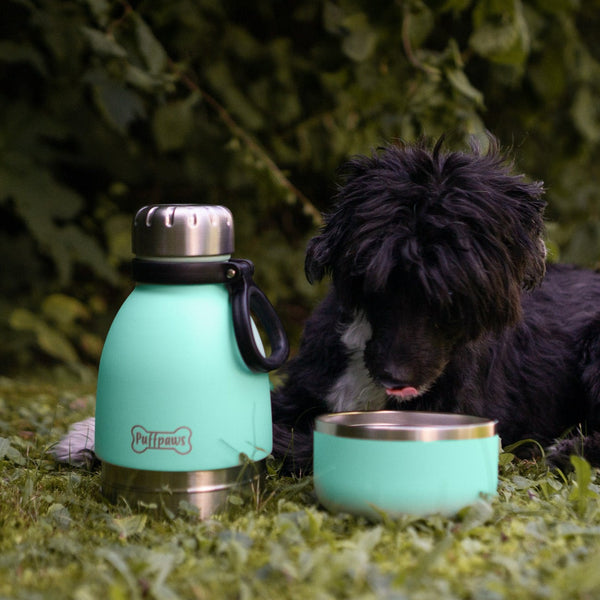 Buddy Bottle Jungle Green - Edelstahlflasche mit Hundenapf