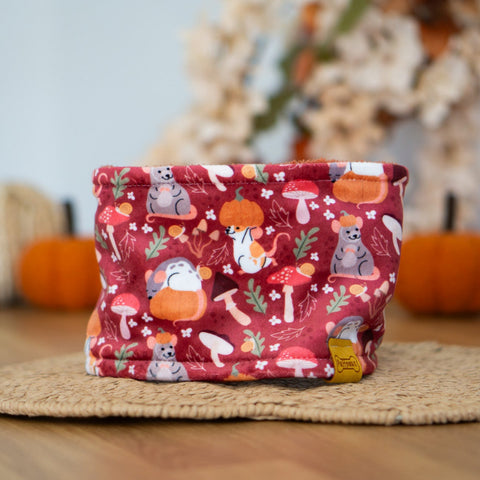 Hundeschal - Pumpkin Party