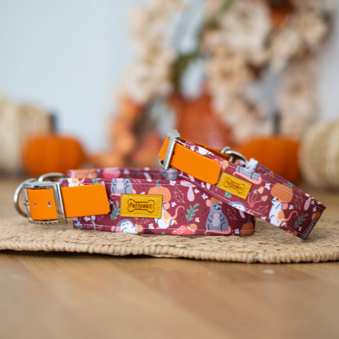 Hundehalsband  Mix - Pumpkin Party x Dark Orange