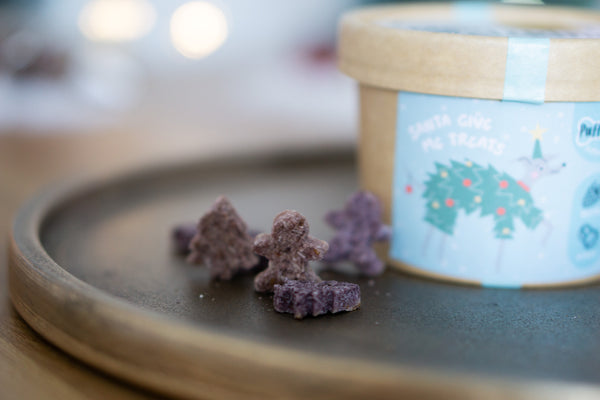 Cocoberry - Xmas Edition (Puffpaws Exclusive Leckerli)