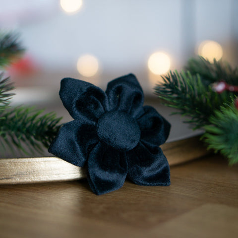 Hundeschleife Weihnachtsstern - Samt black
