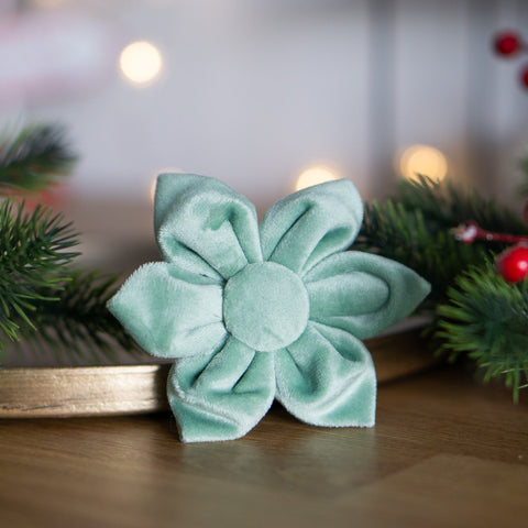 Hundeschleife Weihnachtsstern - Samt sage