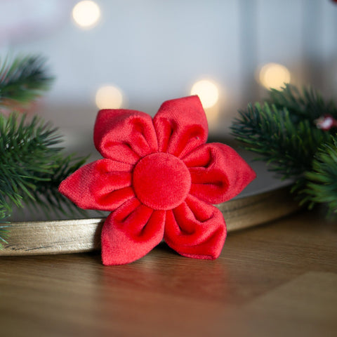 Hundeschleife Weihnachtsstern - Samt rot