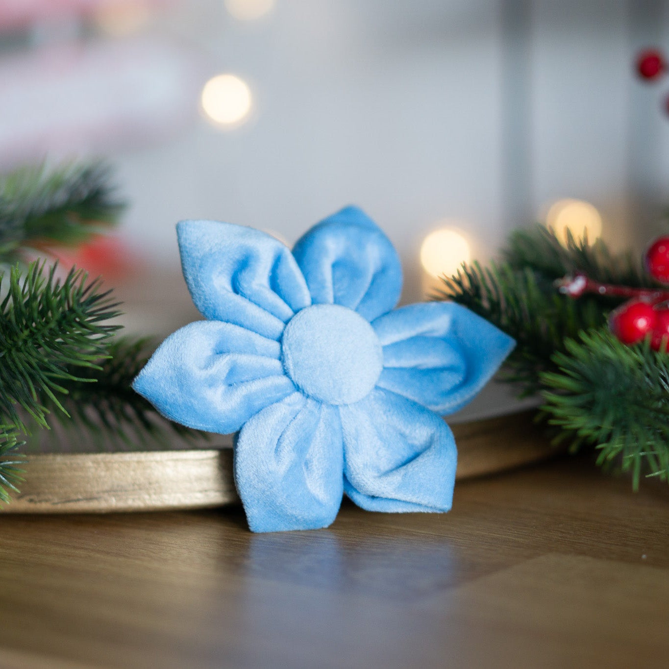 Hundeschleife Weihnachtsstern - Samt blue