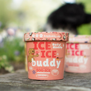 Eis für Hunde mit Kokos und Erdbeere, 66 g