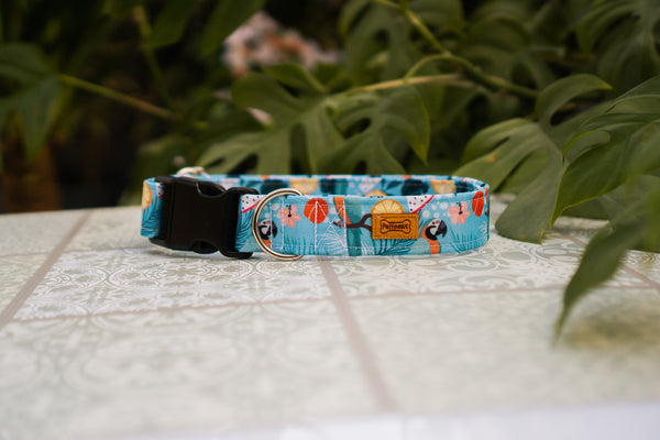 Halsband Waterproof - Tropical Parrot