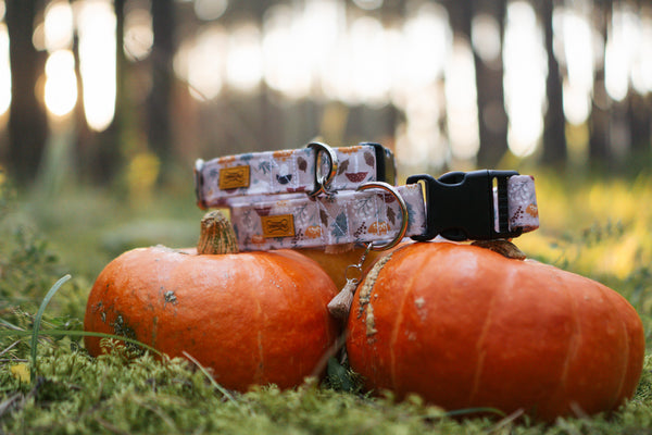 Halsband Waterproof - Forest Fruits
