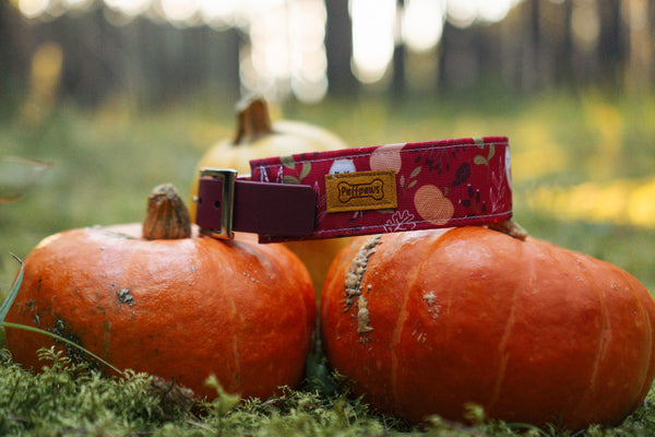 Hundehalsband  Mix - Owls & Pumpkins x Bordeaux