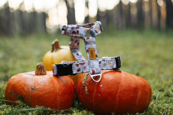 Hundegeschirr Waterproof - Forest Friends (verschiedene Designs)