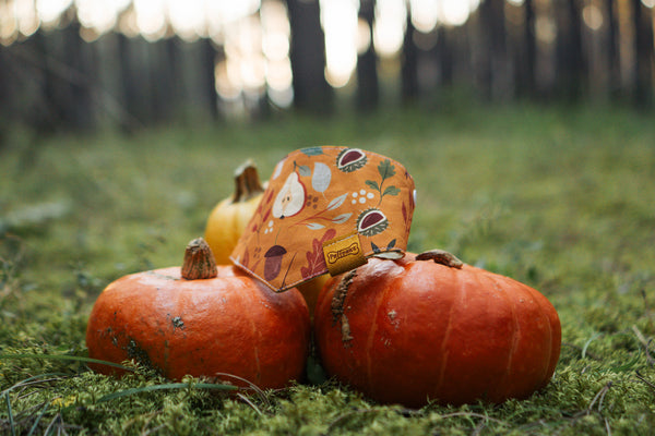 Halstuch - Autumn Harvest