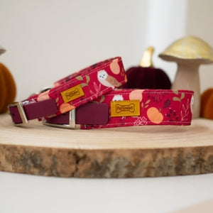 Hundehalsband  Mix - Owls & Pumpkins x Bordeaux