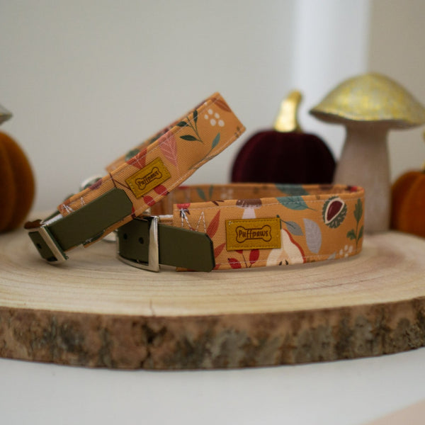 Hundehalsband  Mix - Autumn Harvest x Forest Green