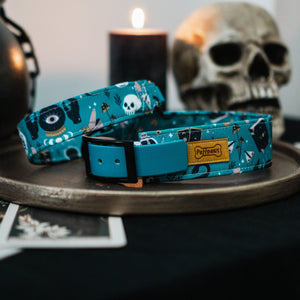 Hundehalsband  Mix - Modern Witch x Witchy Teal