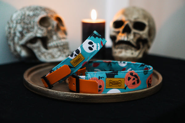 Hundehalsband  Mix - Spooky Town x Spooky Orange