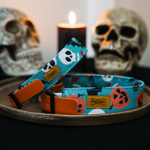 Hundehalsband  Mix - Spooky Town x Spooky Orange