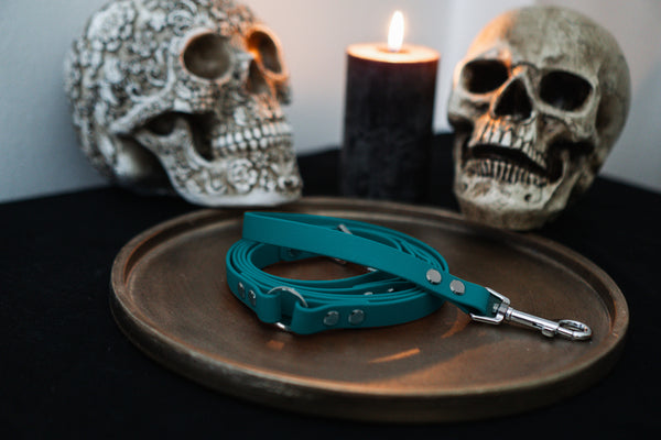 Biothane Leine - Witchy Teal