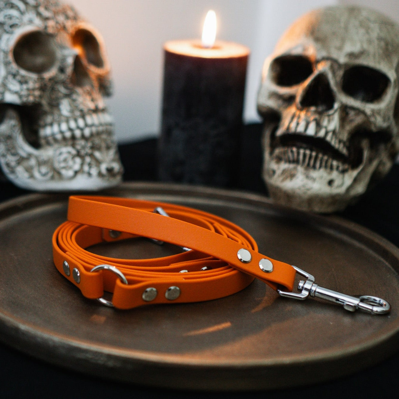 Biothane Leine - Spooky Orange
