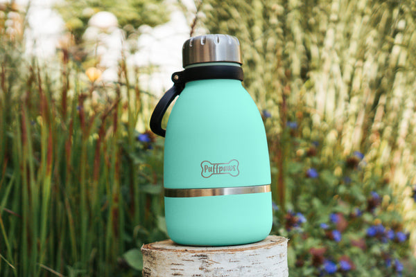 Buddy Bottle - Edelstahlflasche mit Hundenapf