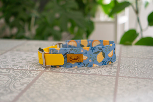 Hundehalsband  Mix - Sour Lemonade x Sun Yellow