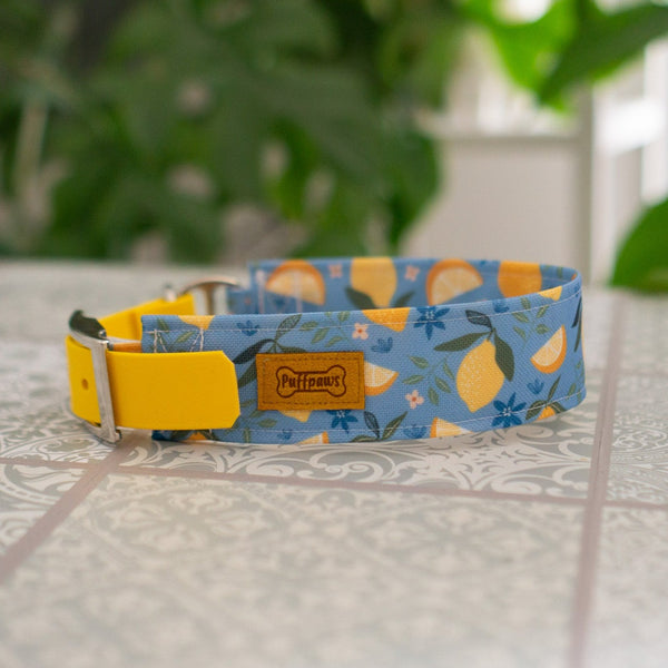 Hundehalsband  Mix - Sour Lemonade x Sun Yellow