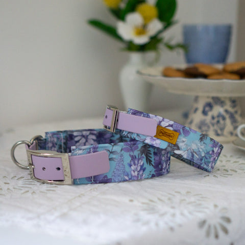Hundehalsband  Mix - Lady Whistledown x Lavender
