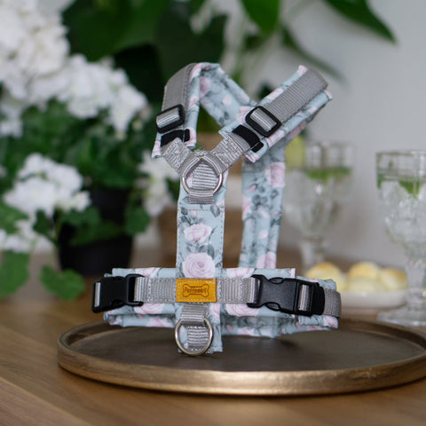 Hundegeschirr gepolstert - Royal Wedding