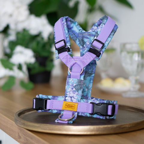 Hundegeschirr gepolstert - Lady Whistledog