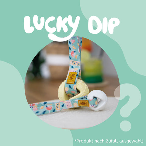 Buddyball Wurfball - Lucky Dip