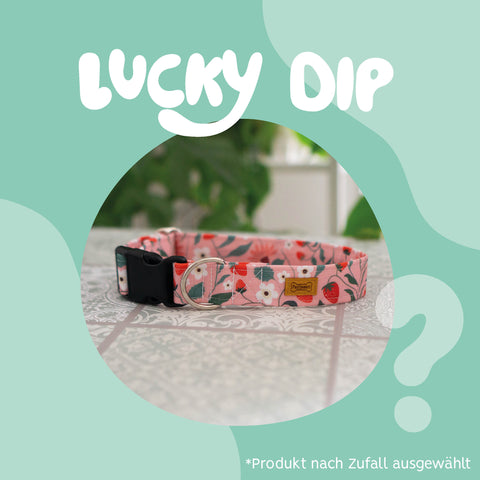 Halsband Waterproof -Lucky Dip