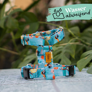 Hundegeschirr Waterproof - Tropical Parrot