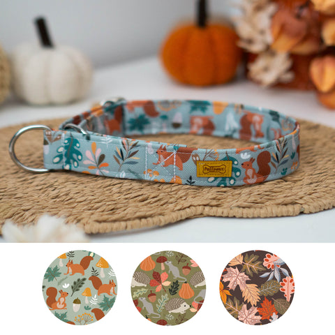Zugstopp Halsband Waterproof - Autumn Collection (Versch. Designs)