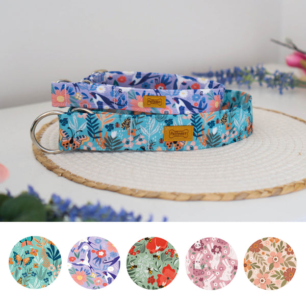 Zugstopp Halsband Waterproof - Home Garden (Versch. Designs)