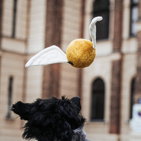 Puffball  -  Schmatz